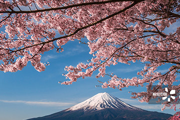 日本雙清專(zhuān)線